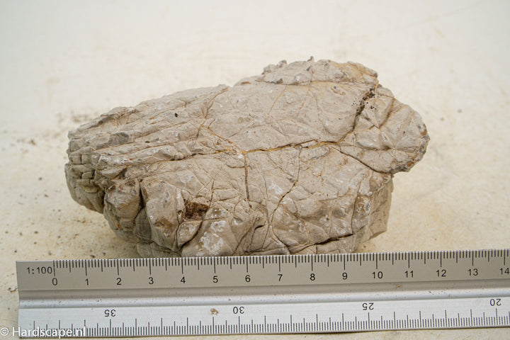 Geo Rock XS034 - Hardscape.nl