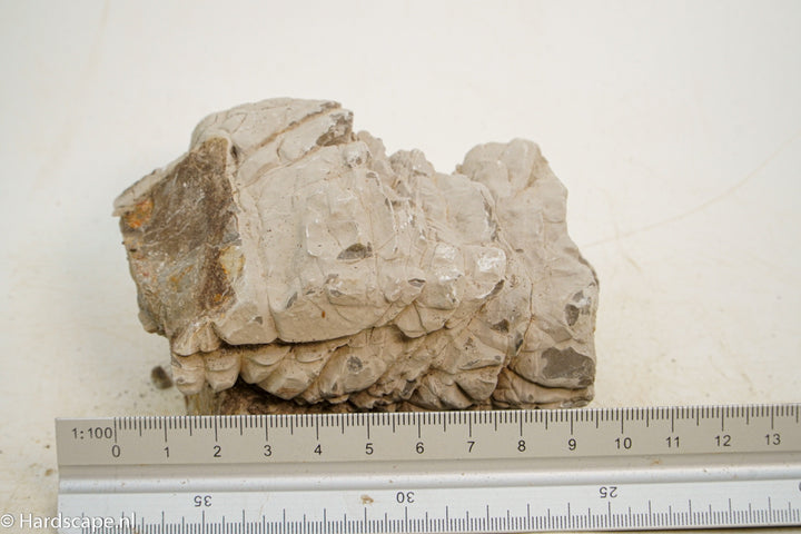 Geo Rock XS003 - Hardscape.nl