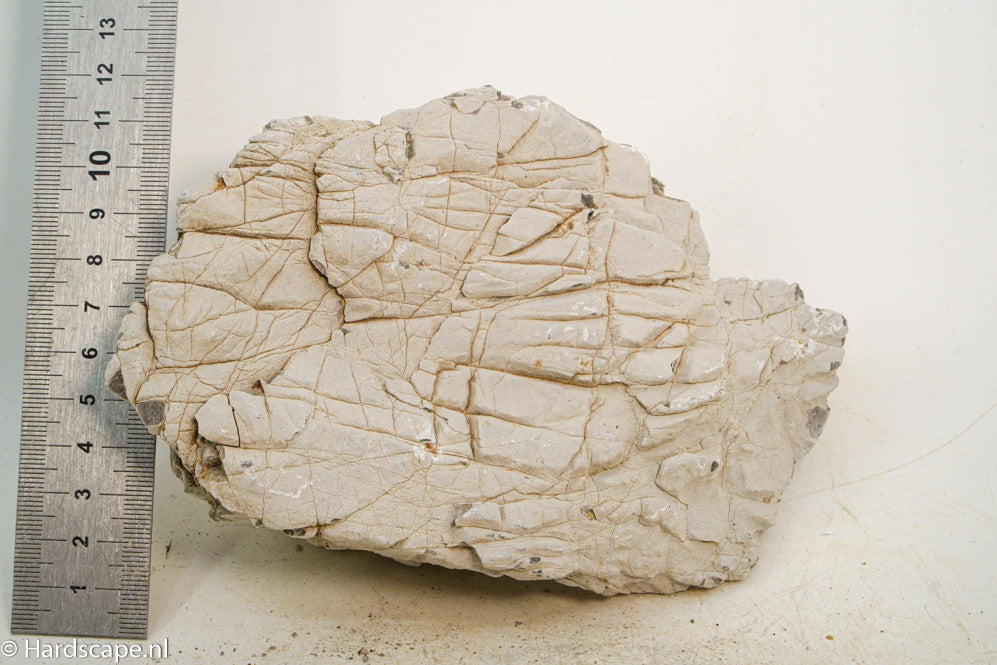 Geo Rock XS009 - Hardscape.nl