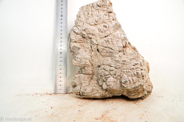 geo rock L 34 - Hardscape.nl