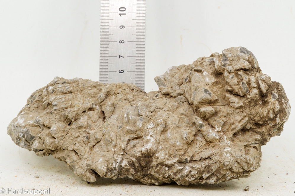 Geo Rock S010 - Hardscape.nl