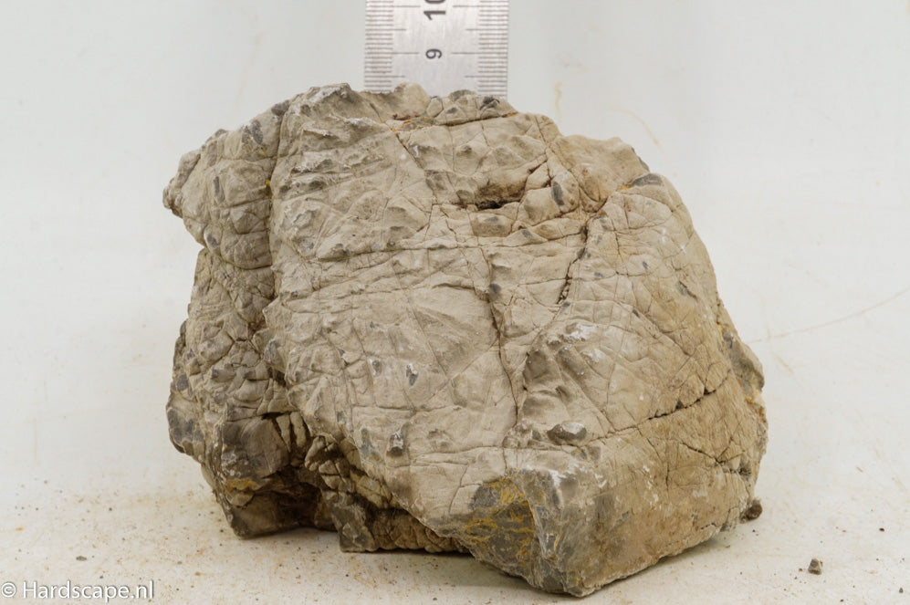 Geo Rock S015 - Hardscape.nl
