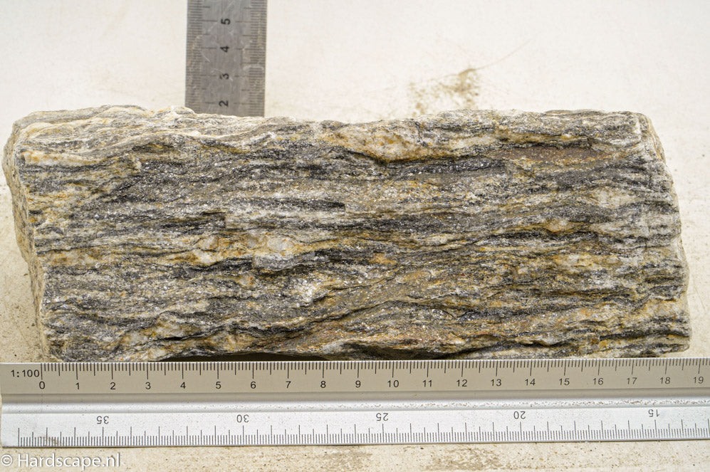 Glimmer Wood Rock XL43 - Hardscape.nl
