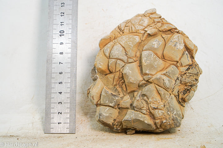 Hrc Stone L009 - Hardscape.nl