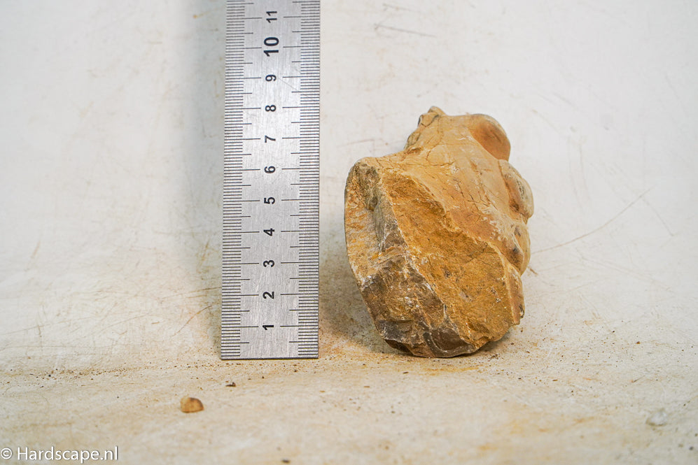Hrc Stone S019 - Hardscape.nl
