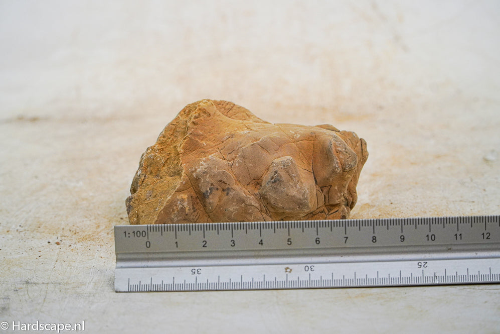 Hrc Stone S019 - Hardscape.nl