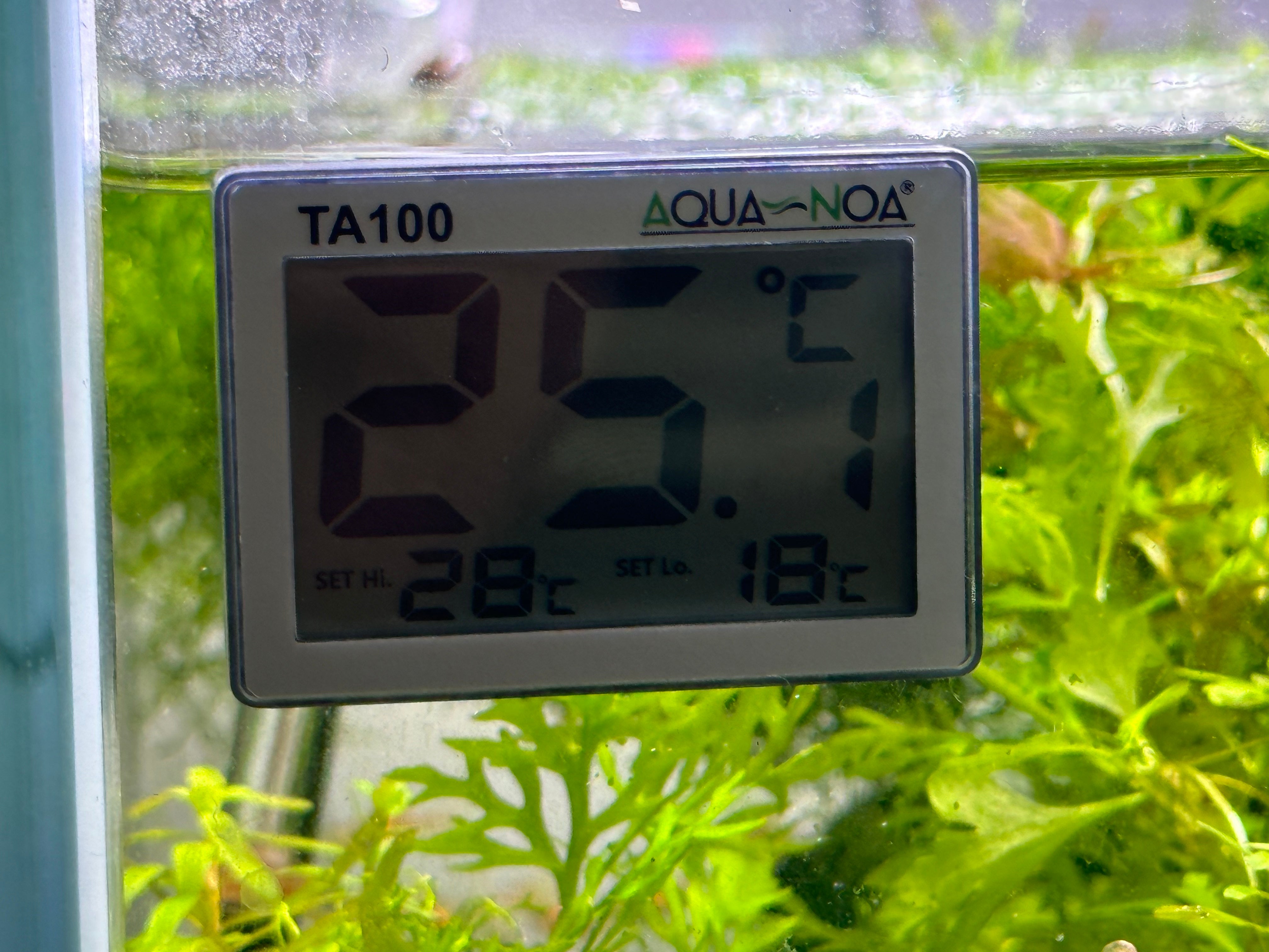 Aqua-Noa digitale externe thermometer