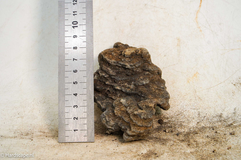 Iron Stone 067 - Hardscape.nl