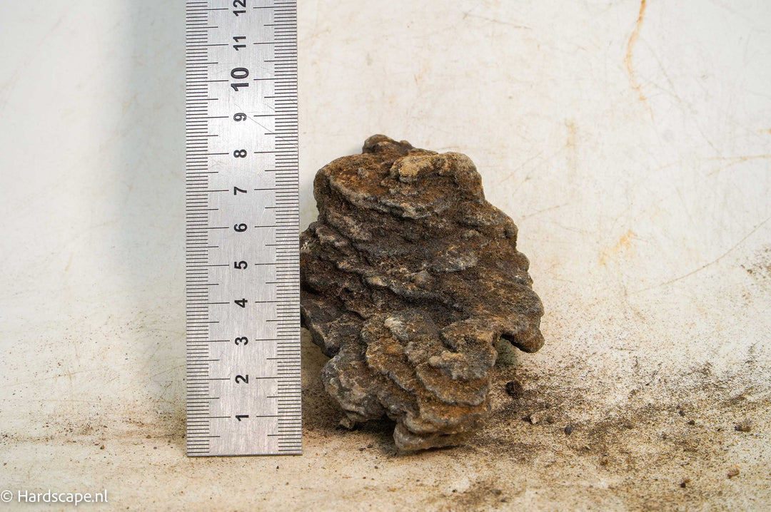 Iron Stone 067 - Hardscape.nl