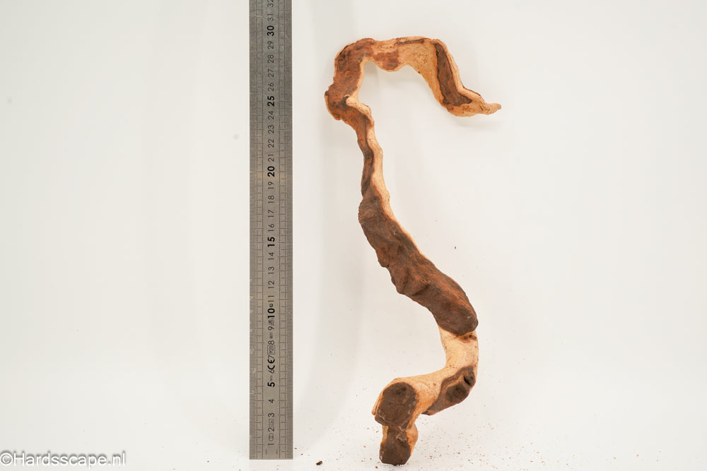 Mopani Hout 168 - Hardscape.nl