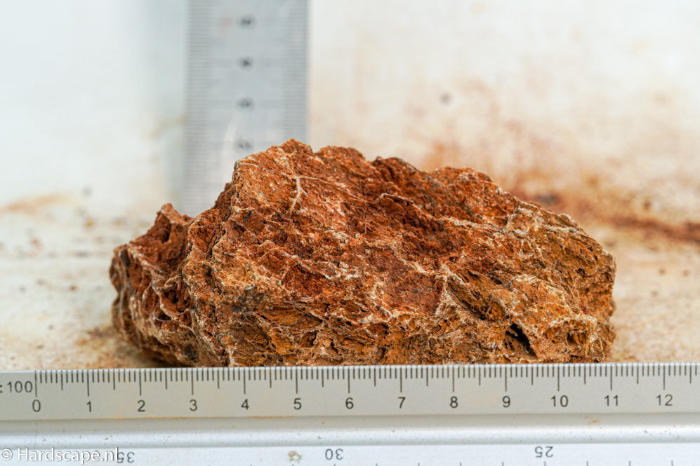 Maple Leaf Rock S100 - Hardscape.nl