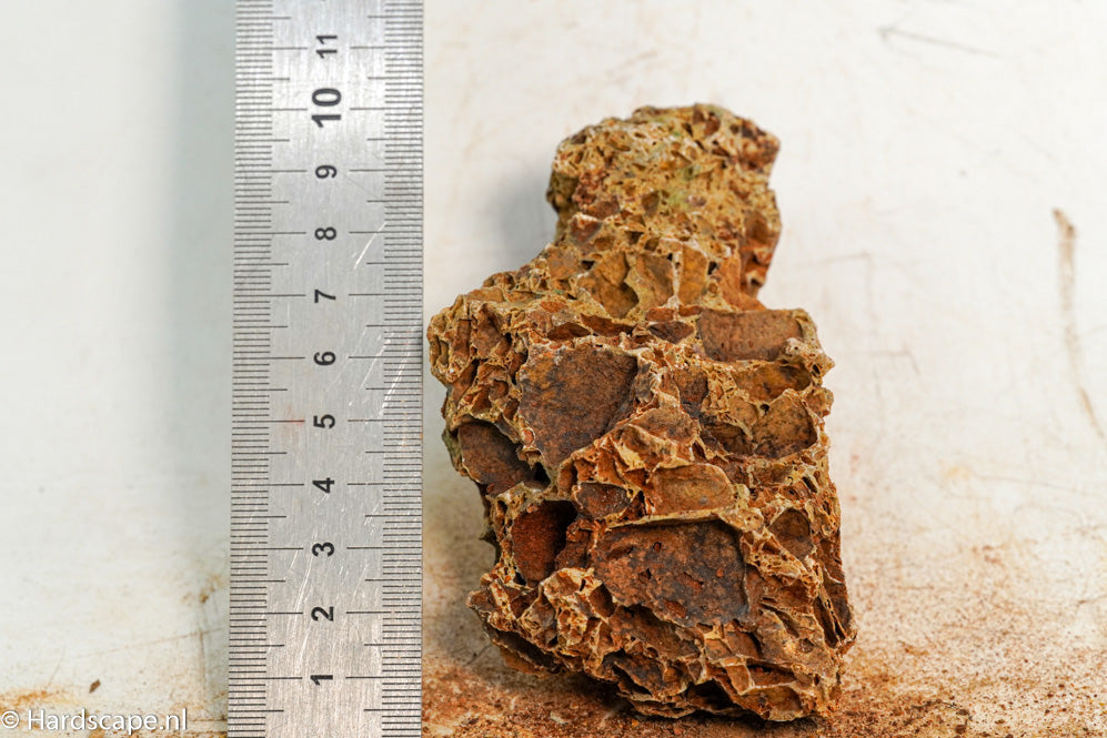 Maple Leaf Rock S101 - Hardscape.nl