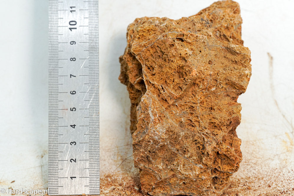 Maple Leaf Rock S103 - Hardscape.nl