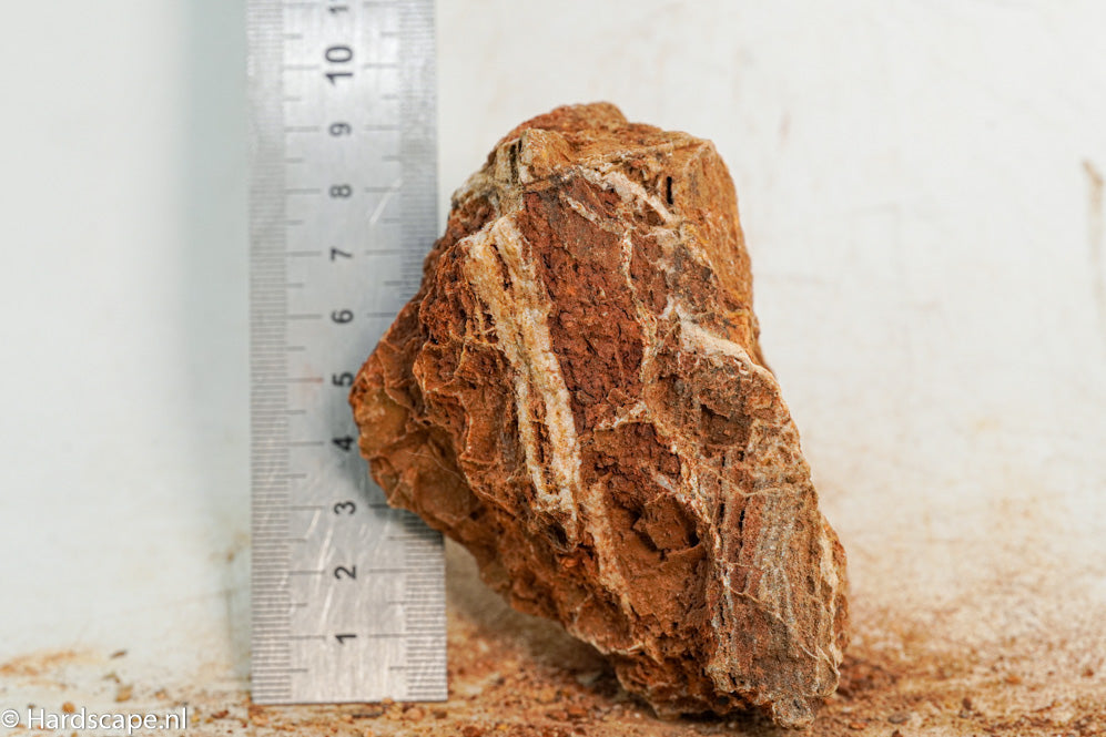 Maple Leaf Rock S104 - Hardscape.nl