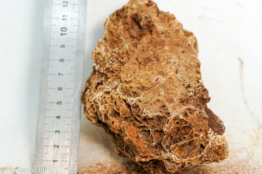 Maple Leaf Rock S105 - Hardscape.nl