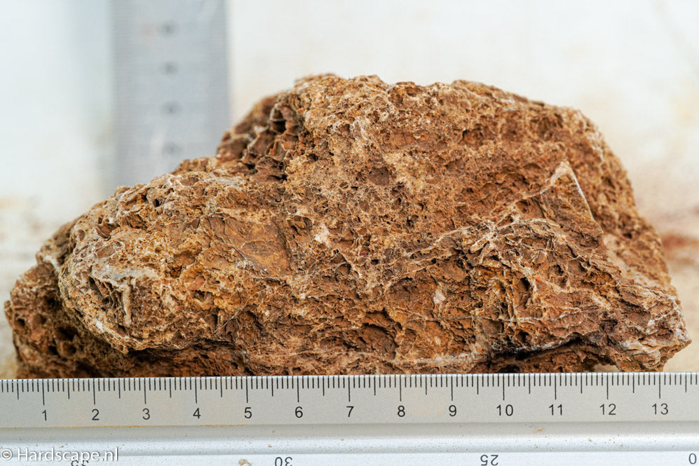 Maple Leaf Rock S105 - Hardscape.nl