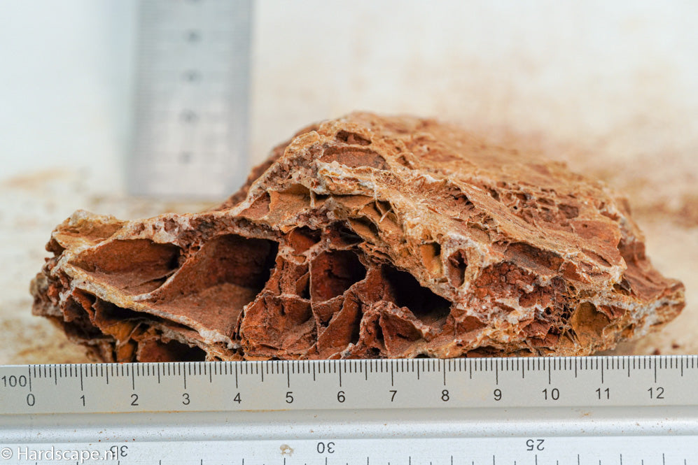 Maple Leaf Rock S107 - Hardscape.nl