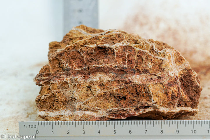 Maple Leaf Rock S113 - Hardscape.nl