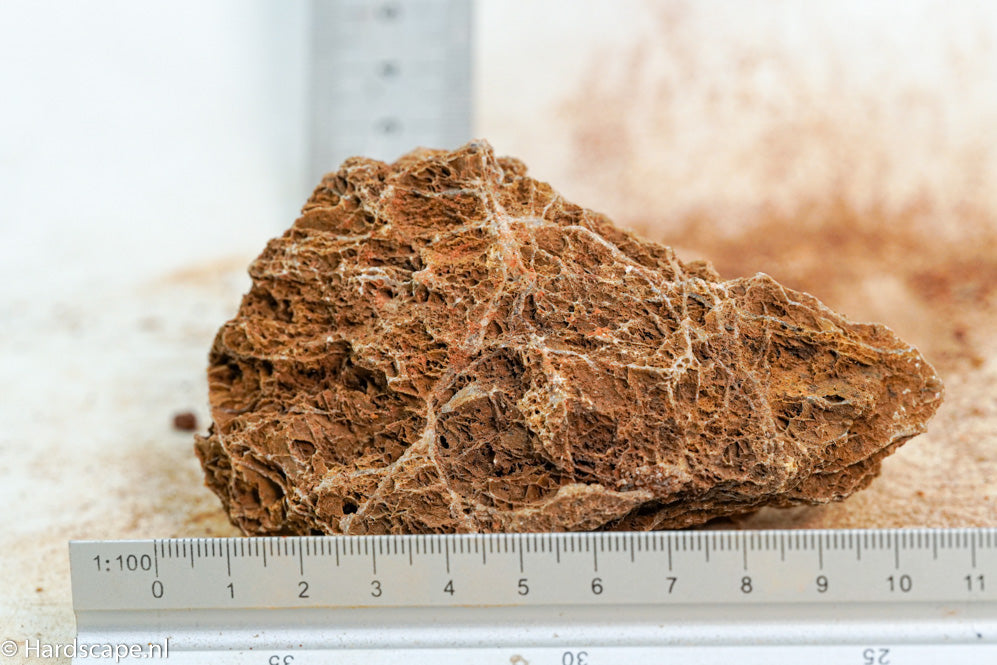 Maple Leaf Rock S116 - Hardscape.nl