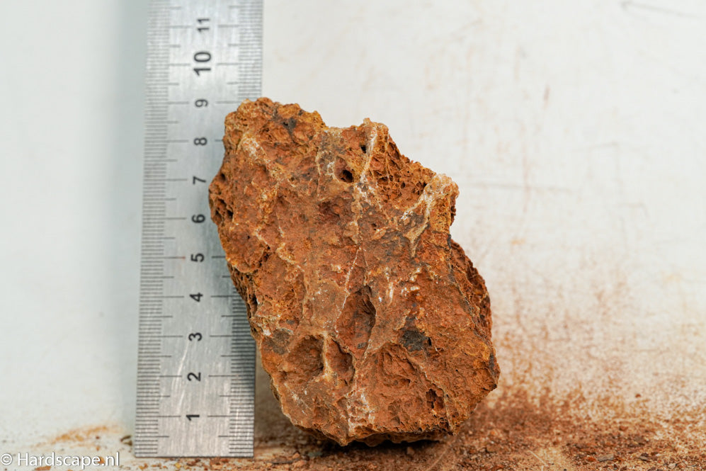 Maple Leaf Rock S117 - Hardscape.nl