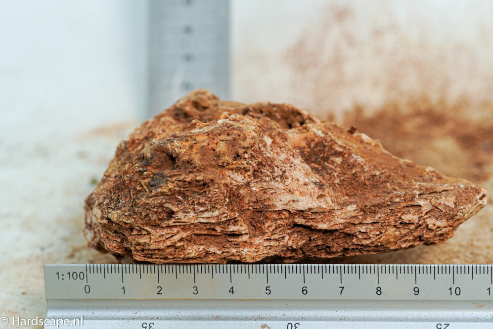 Maple Leaf Rock S123 - Hardscape.nl