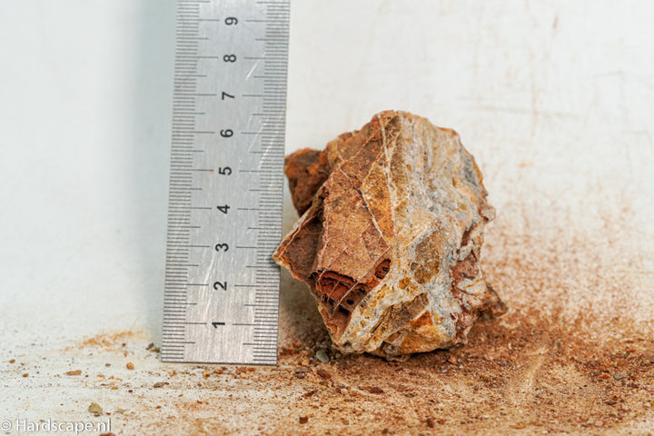 Maple Leaf Rock S128 - Hardscape.nl