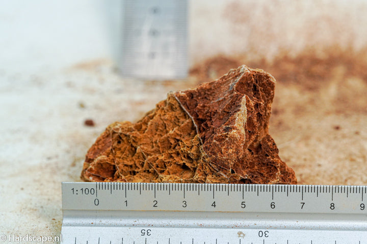 Maple Leaf Rock S129 - Hardscape.nl