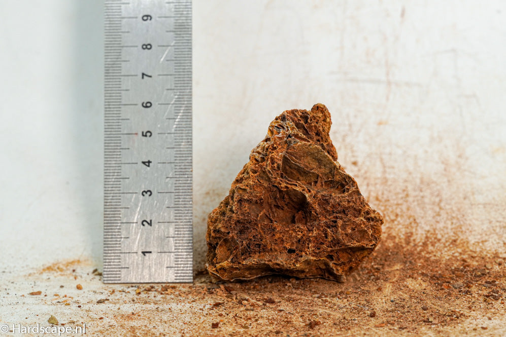 Maple Leaf Rock S131 - Hardscape.nl