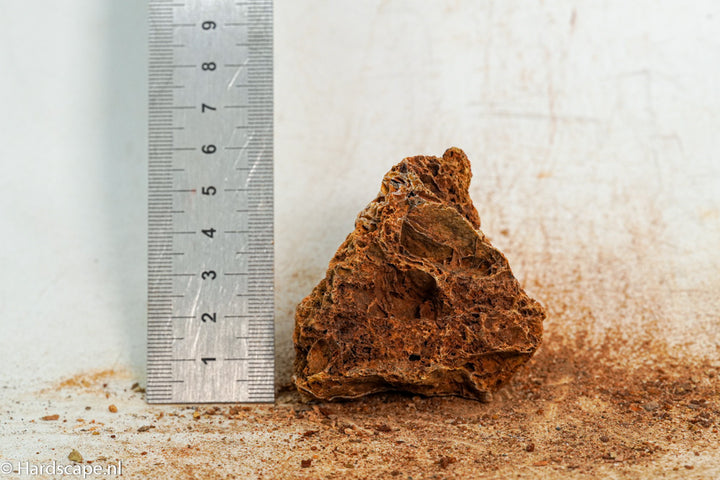 Maple Leaf Rock S131 - Hardscape.nl