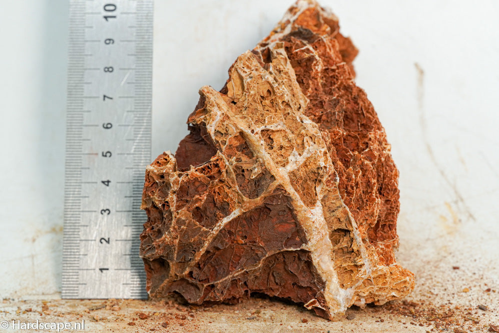 Maple Leaf Rock S98 - Hardscape.nl