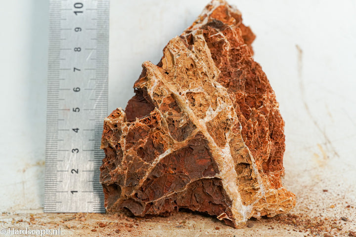 Maple Leaf Rock S98 - Hardscape.nl