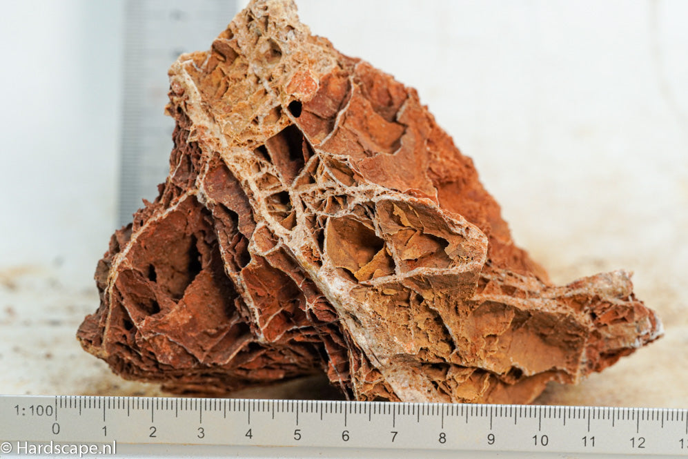 Maple Leaf Rock S98 - Hardscape.nl
