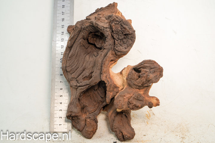 Mopani Hout 71