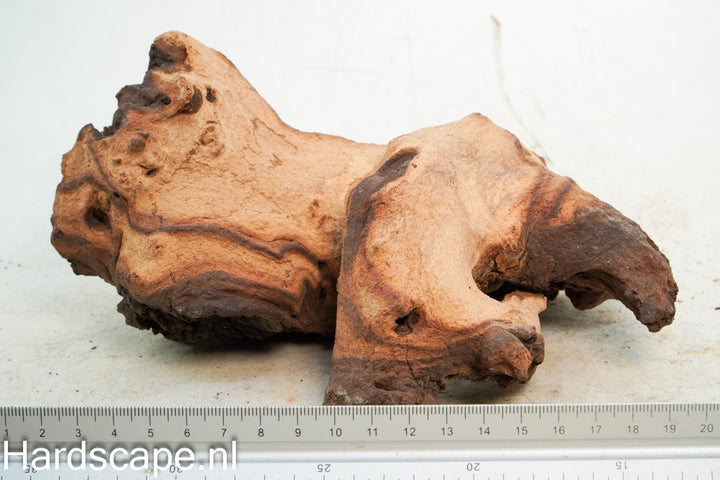 Mopani Hout 71