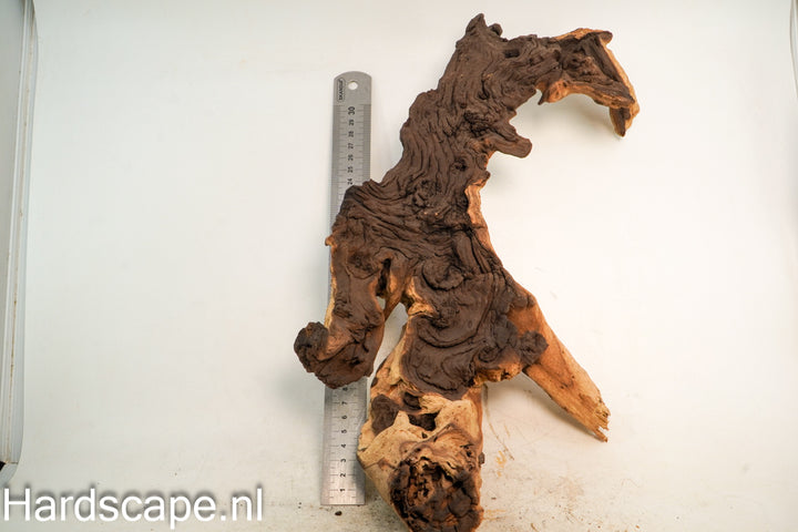 Mopani Hout 72