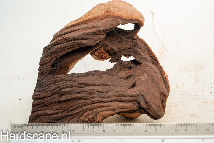 Mopani Hout 73