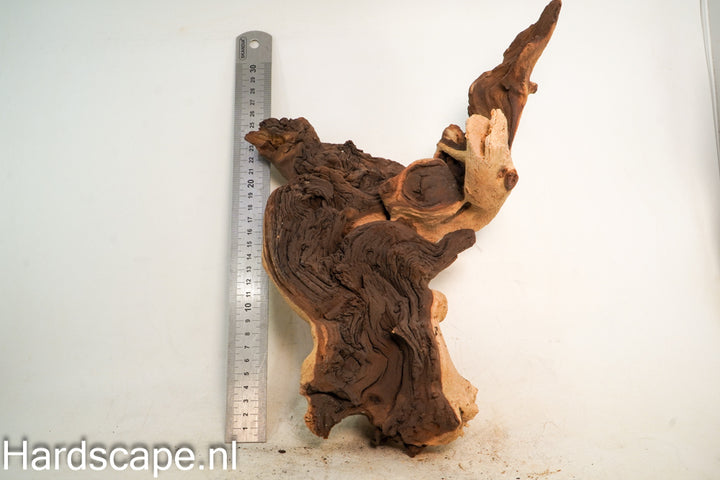 Mopani Hout 74