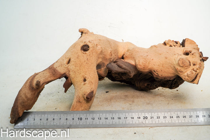Mopani Hout 74