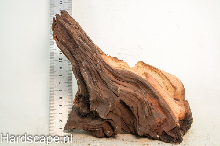 Mopani Hout 75