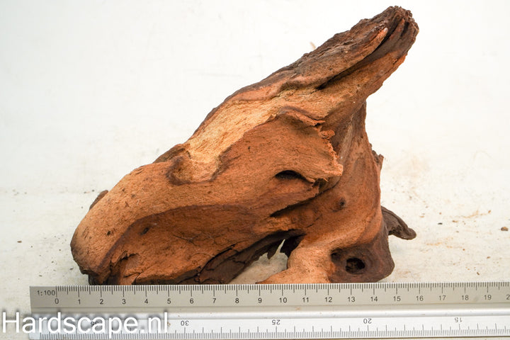 Mopani Hout 75
