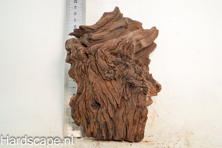 Mopani Hout 79