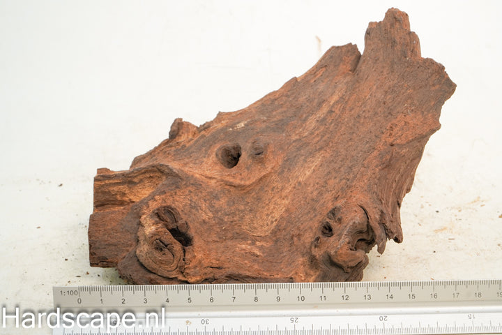 Mopani Hout 79