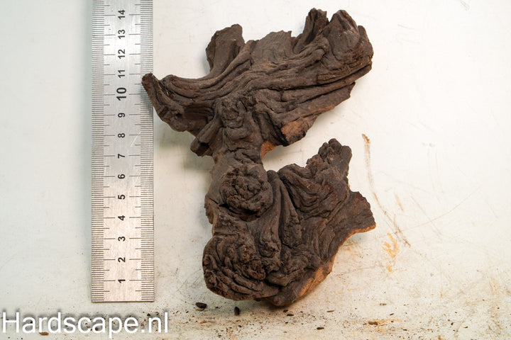 Mopani Hout 81