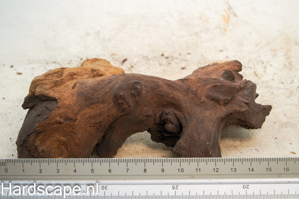 Mopani Hout 81
