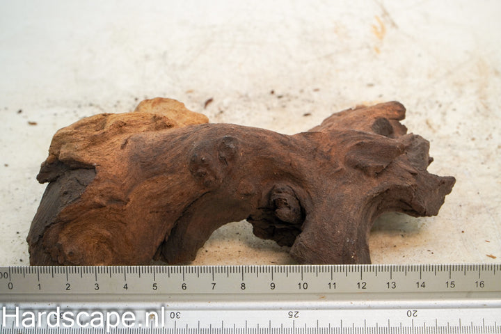 Mopani Hout 81