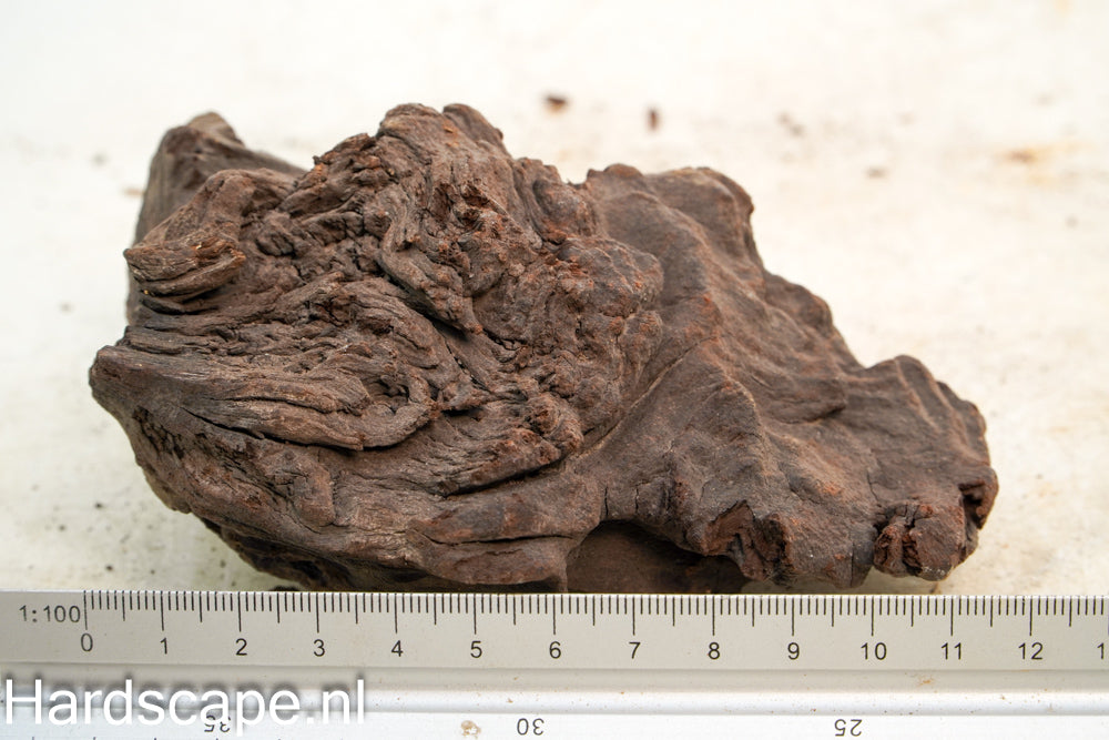 Mopani Hout 82