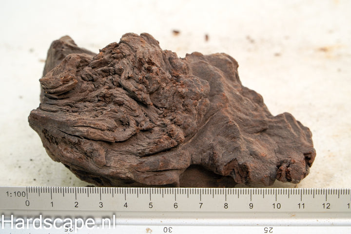 Mopani Hout 82