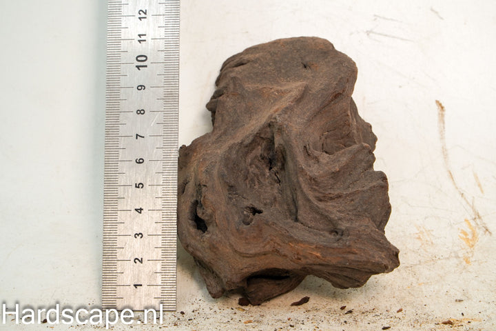 Mopani Hout 82