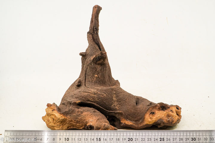 Mopani hout 002 - Hardscape.nl