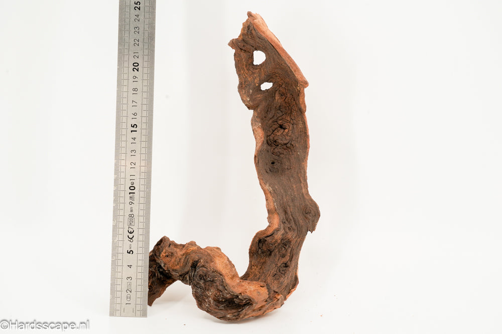 Mopani Hout 147 - Hardscape.nl